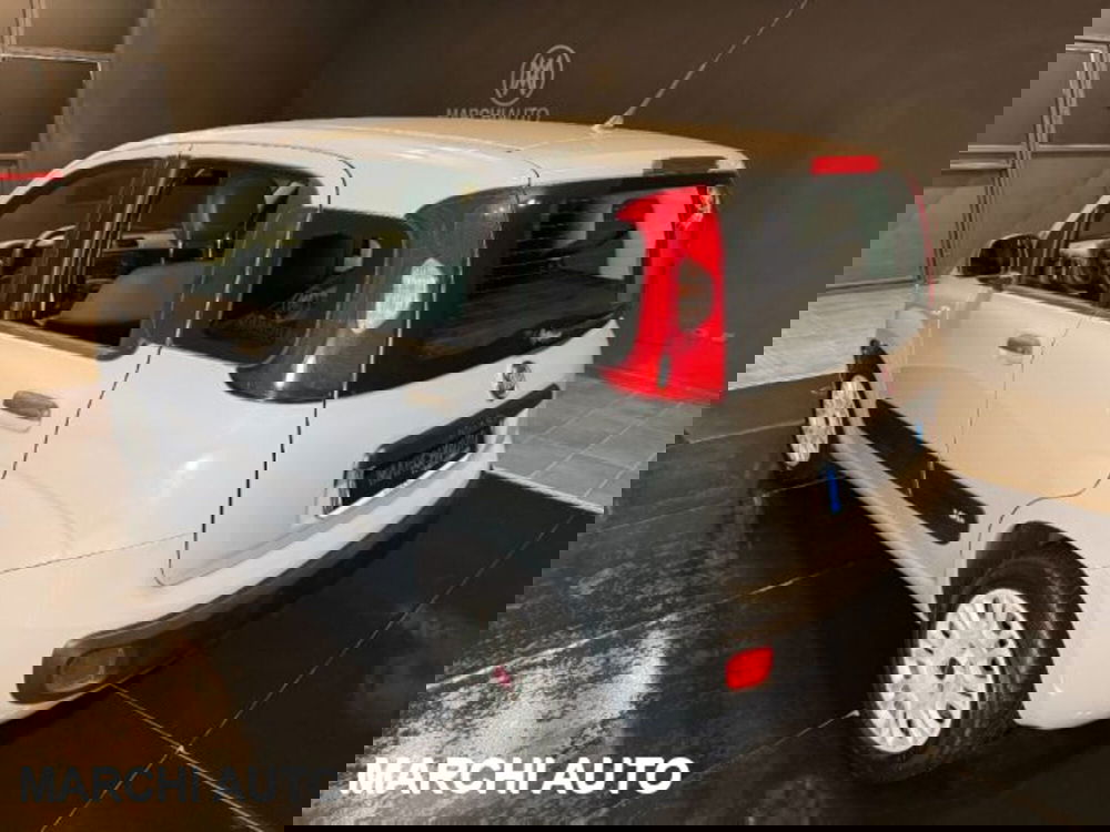 Fiat Panda usata a Perugia (7)