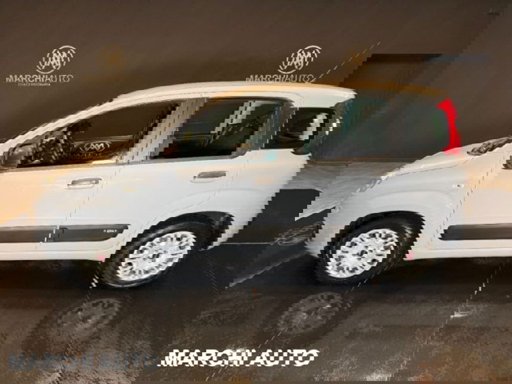 Fiat Panda usata a Perugia (8)