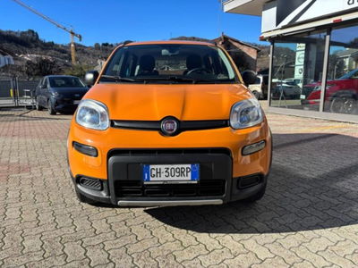 Fiat Panda 0.9 TwinAir Turbo S&amp;S 4x4 del 2019 usata a Boves