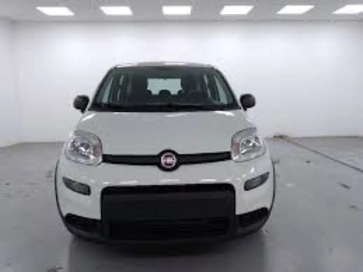 Fiat Panda nuova a Perugia (2)