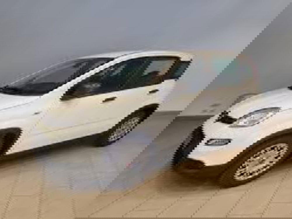 Fiat Panda nuova a Perugia (3)