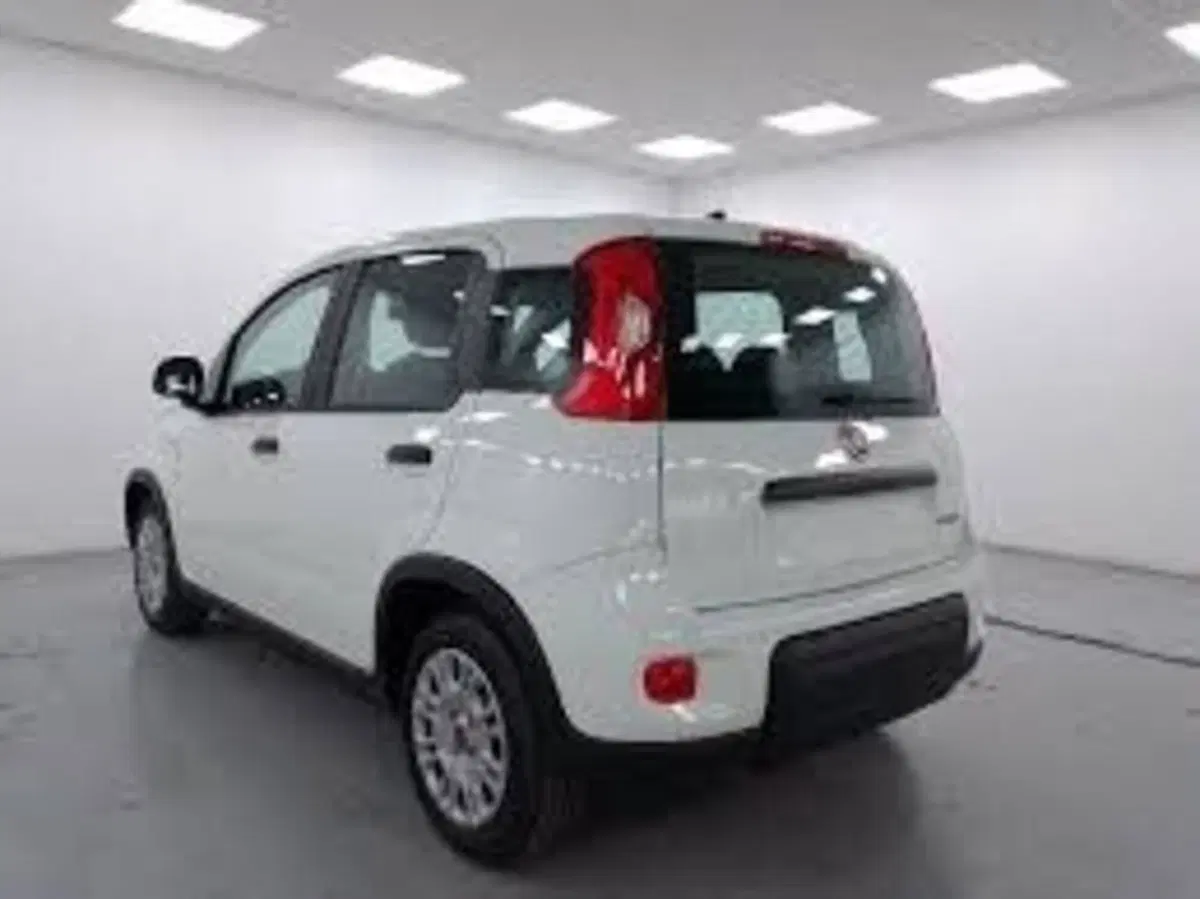 Fiat Panda nuova a Perugia (4)