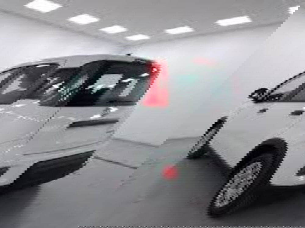 Fiat Panda nuova a Perugia (4)