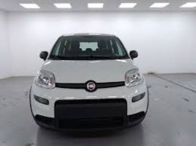 Fiat Panda 1.0 firefly hybrid Pop s&amp;s 70cv nuova a Corciano
