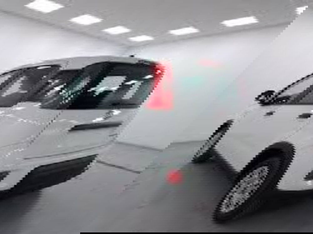 Fiat Panda nuova a Perugia (3)