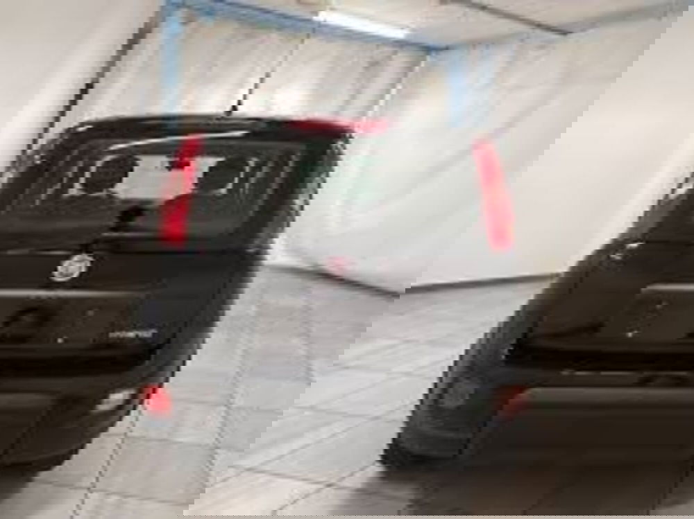 Fiat Panda nuova a Perugia (3)