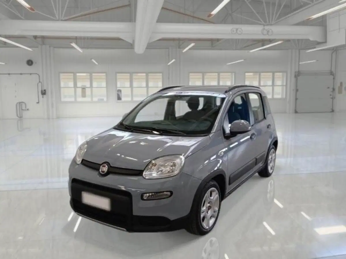 Fiat Panda usata a Perugia (2)