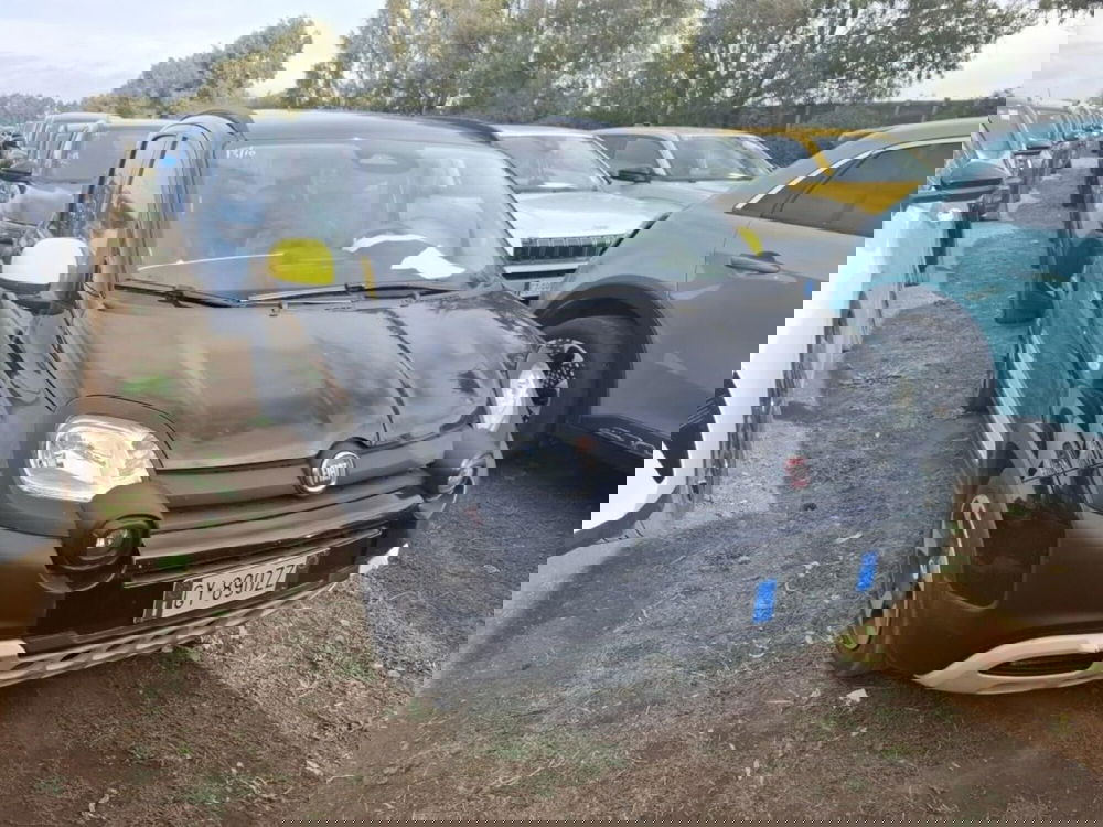 Fiat Panda Cross usata a Perugia (2)