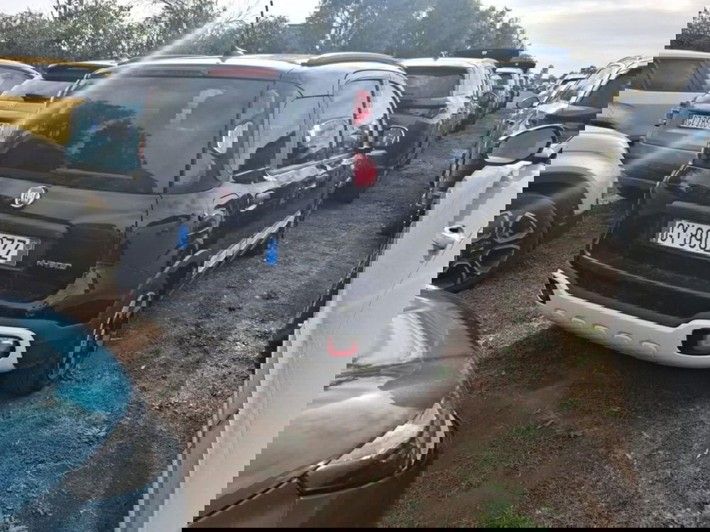 Fiat Panda Cross usata a Perugia (5)