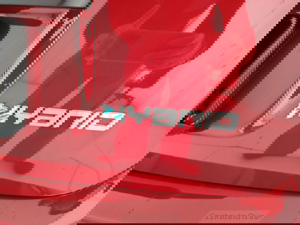 Fiat Panda Cross nuova a Caserta (11)