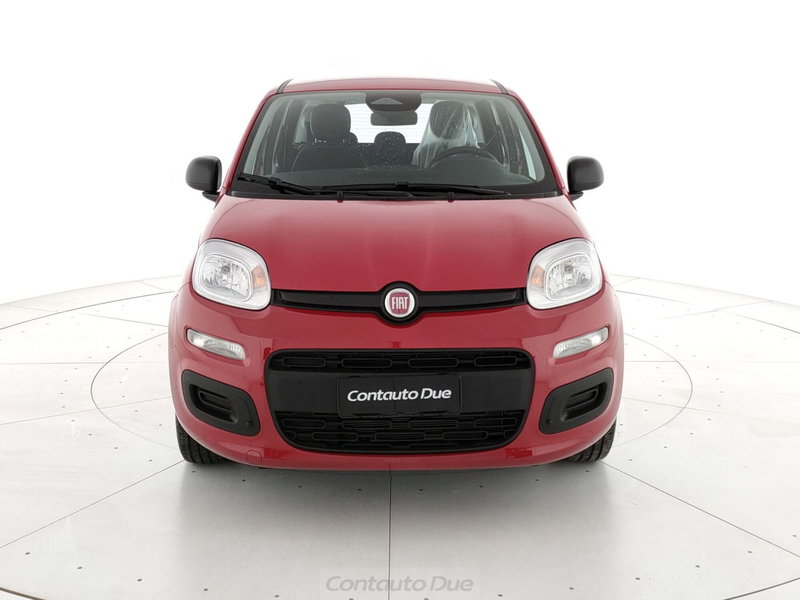 Fiat Panda Cross nuova a Caserta (2)