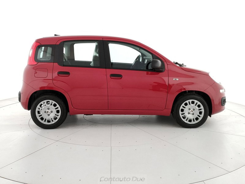 Fiat Panda Cross nuova a Caserta (4)