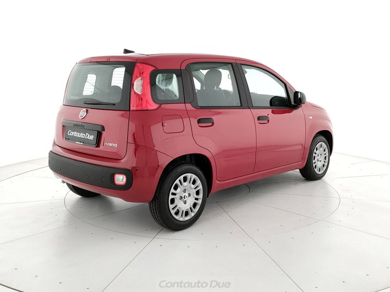 Fiat Panda Cross nuova a Caserta (5)