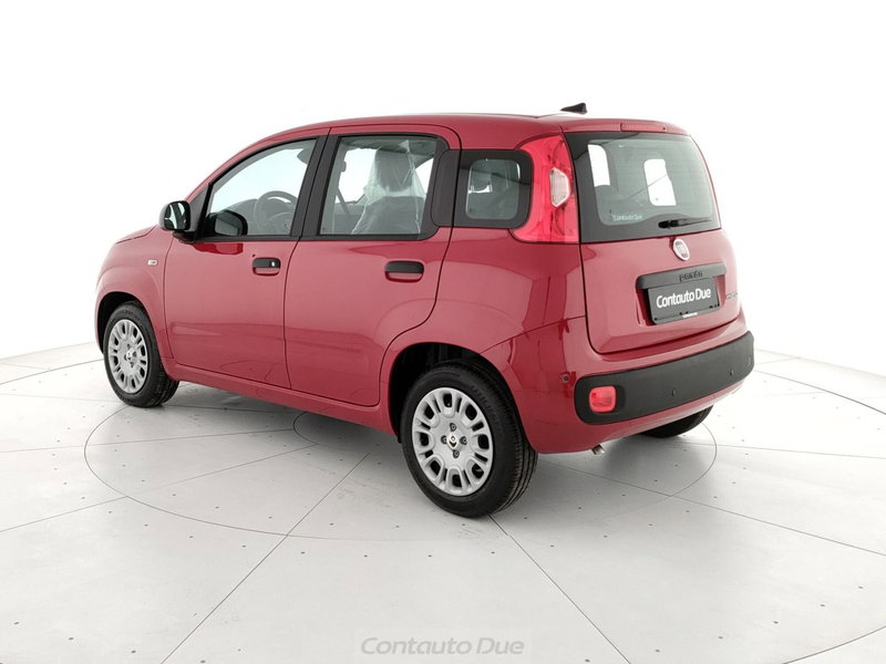 Fiat Panda Cross nuova a Caserta (7)