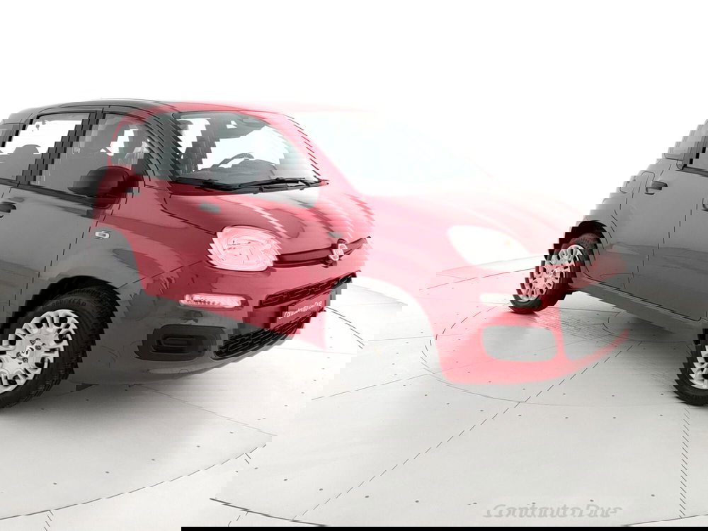 Fiat Panda Cross nuova a Caserta (8)