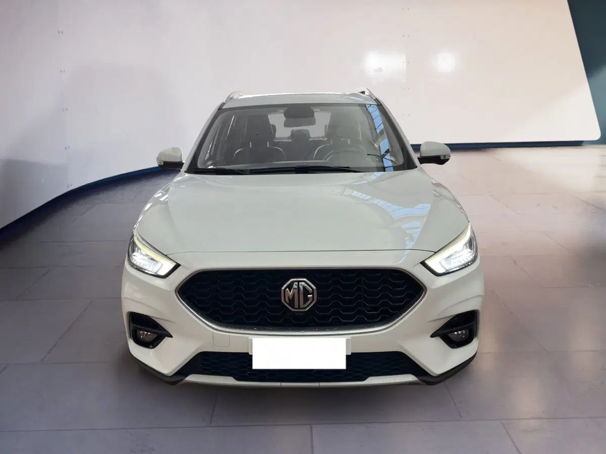Mg ZS usata a Torino