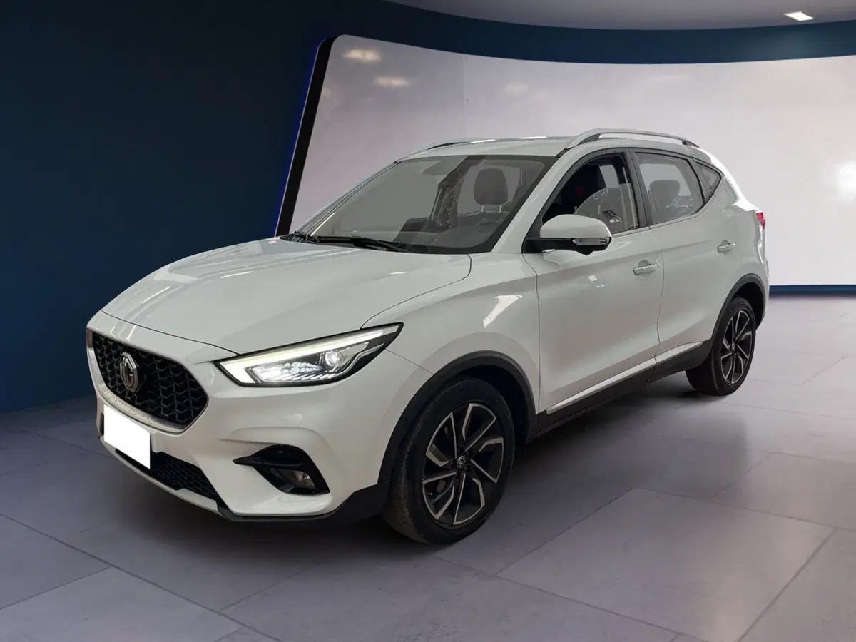 Mg ZS usata a Torino (2)