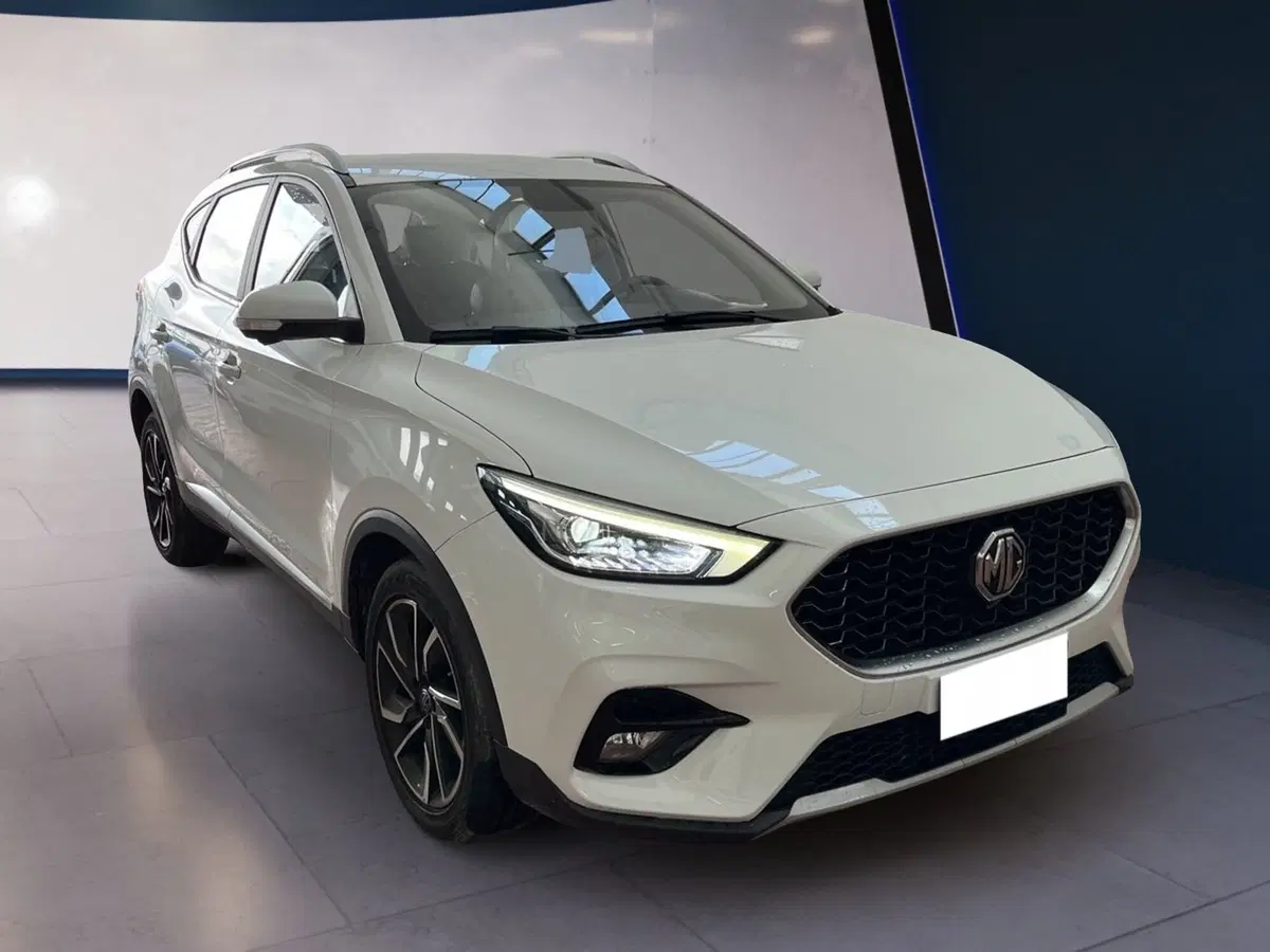Mg ZS usata a Torino (3)
