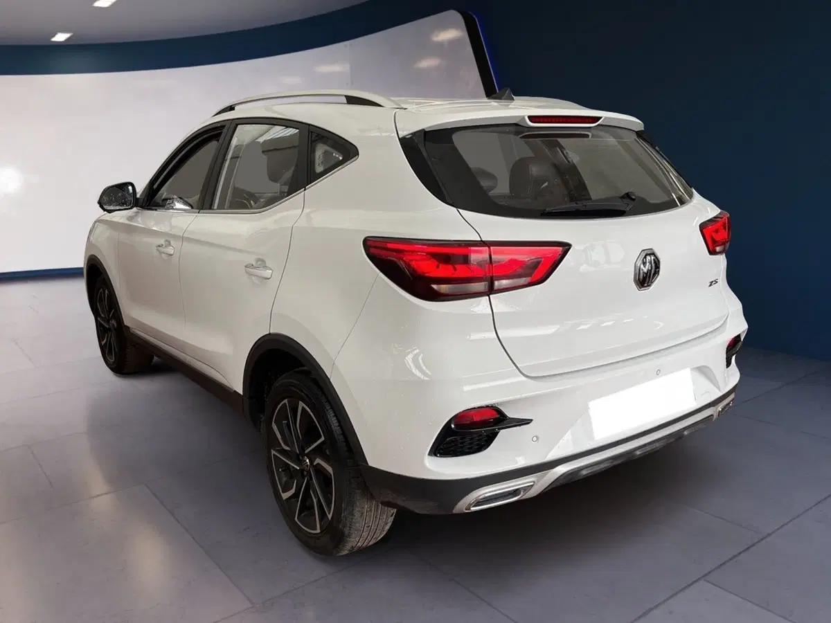 Mg ZS usata a Torino (6)