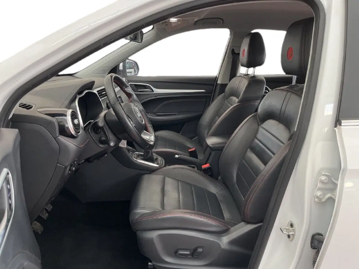 Mg ZS usata a Torino (9)