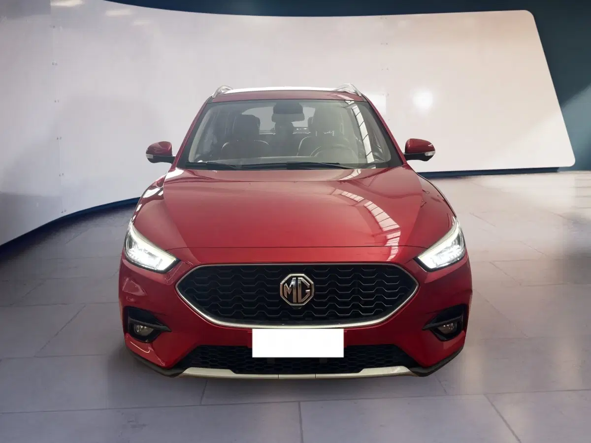 Mg ZS usata a Torino