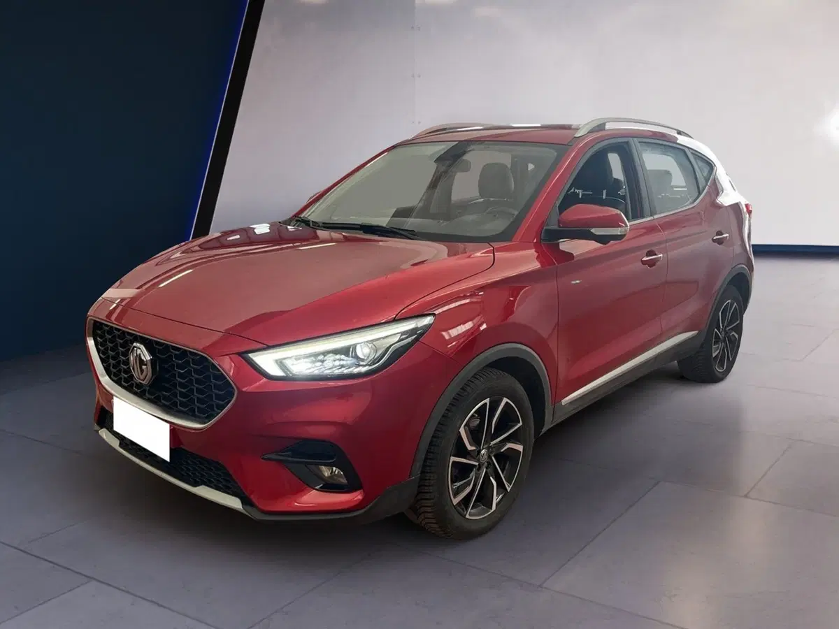 Mg ZS usata a Torino (2)