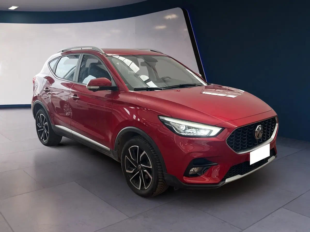Mg ZS usata a Torino (3)