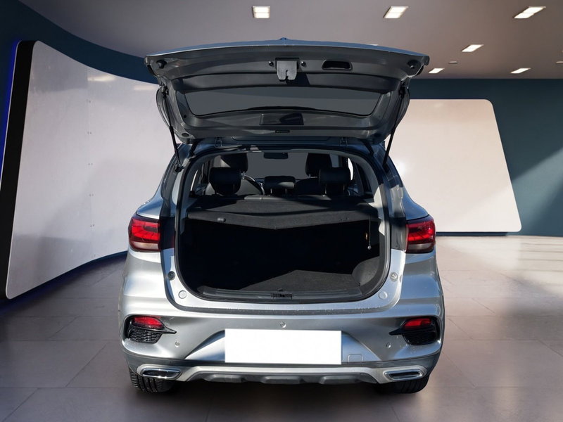 Mg ZS usata a Torino (8)