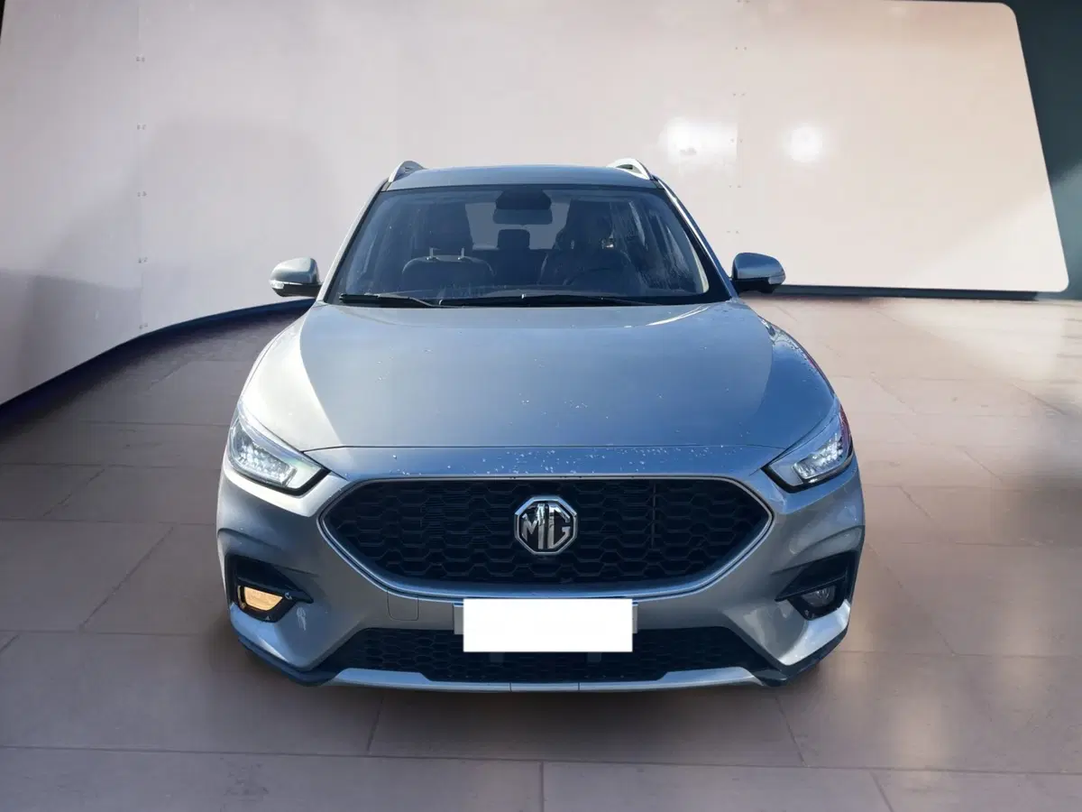 Mg ZS usata a Torino