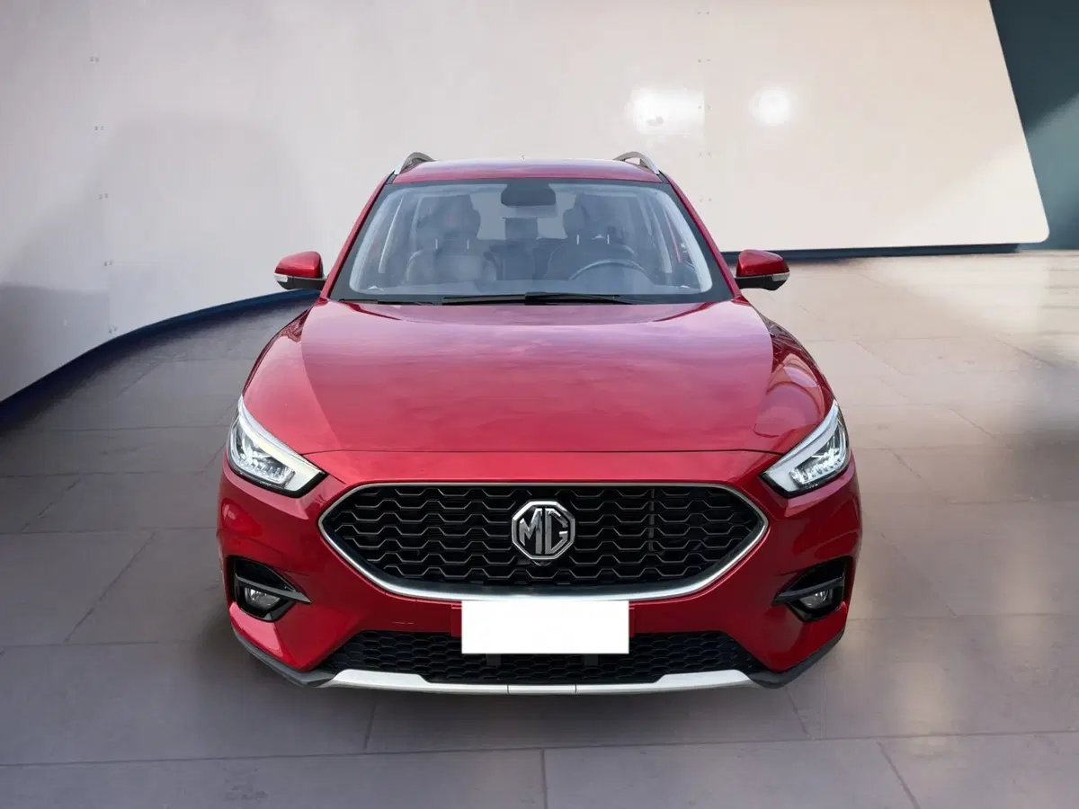 Mg ZS usata a Torino