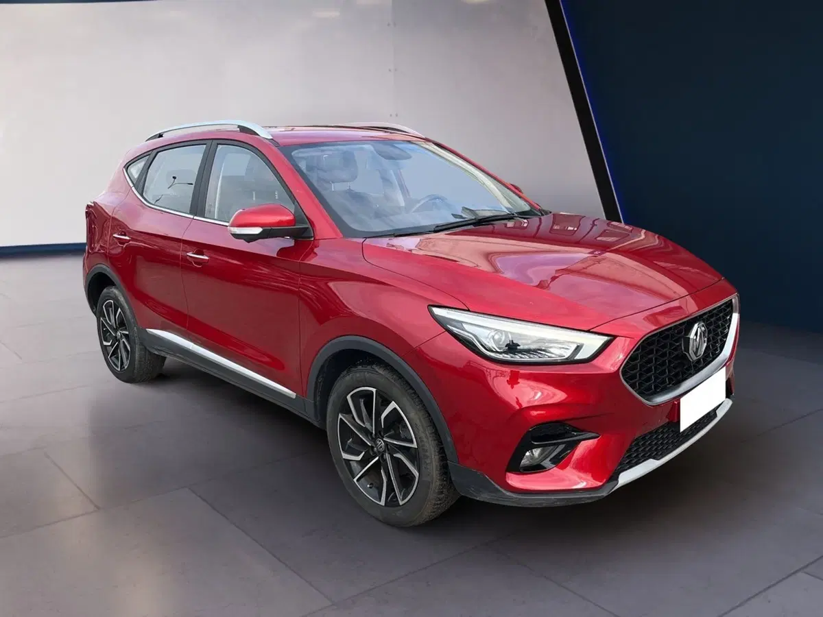 Mg ZS usata a Torino (2)