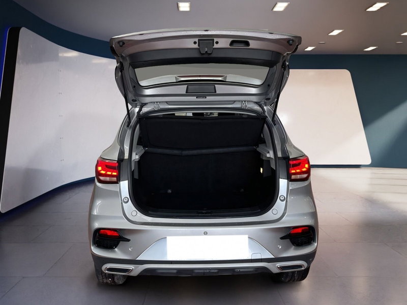 Mg ZS usata a Torino (7)