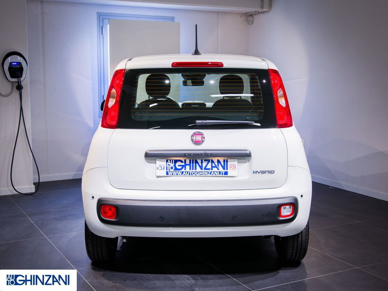 Fiat Panda Cross nuova a Bergamo (5)