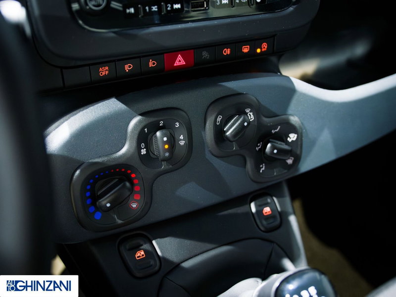 Fiat Panda Cross nuova a Bergamo (14)