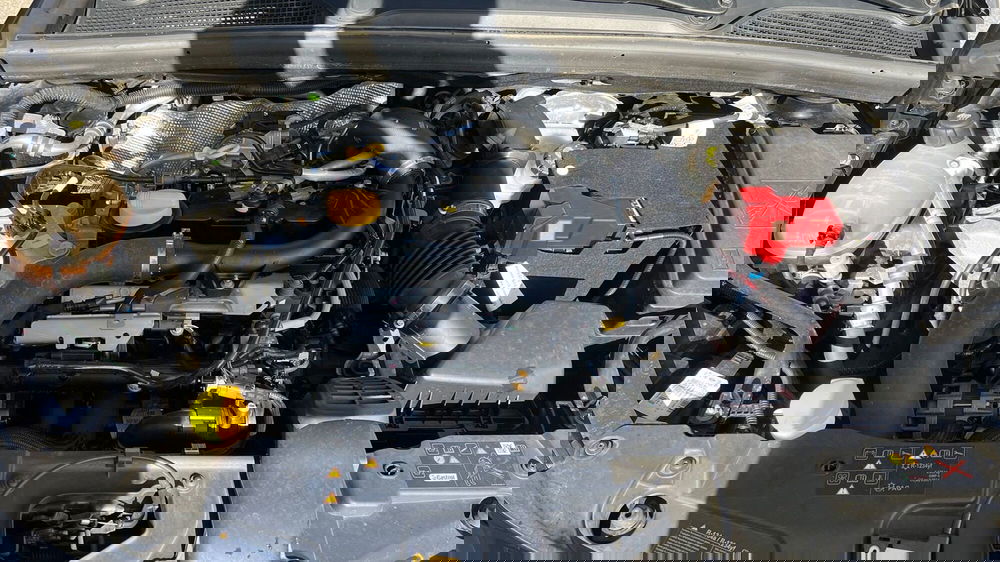 Renault Clio usata a Viterbo (12)