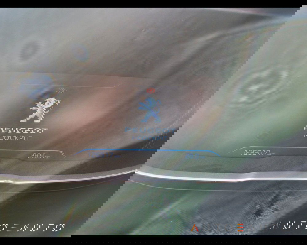 Peugeot 3008 usata a Reggio Emilia (16)