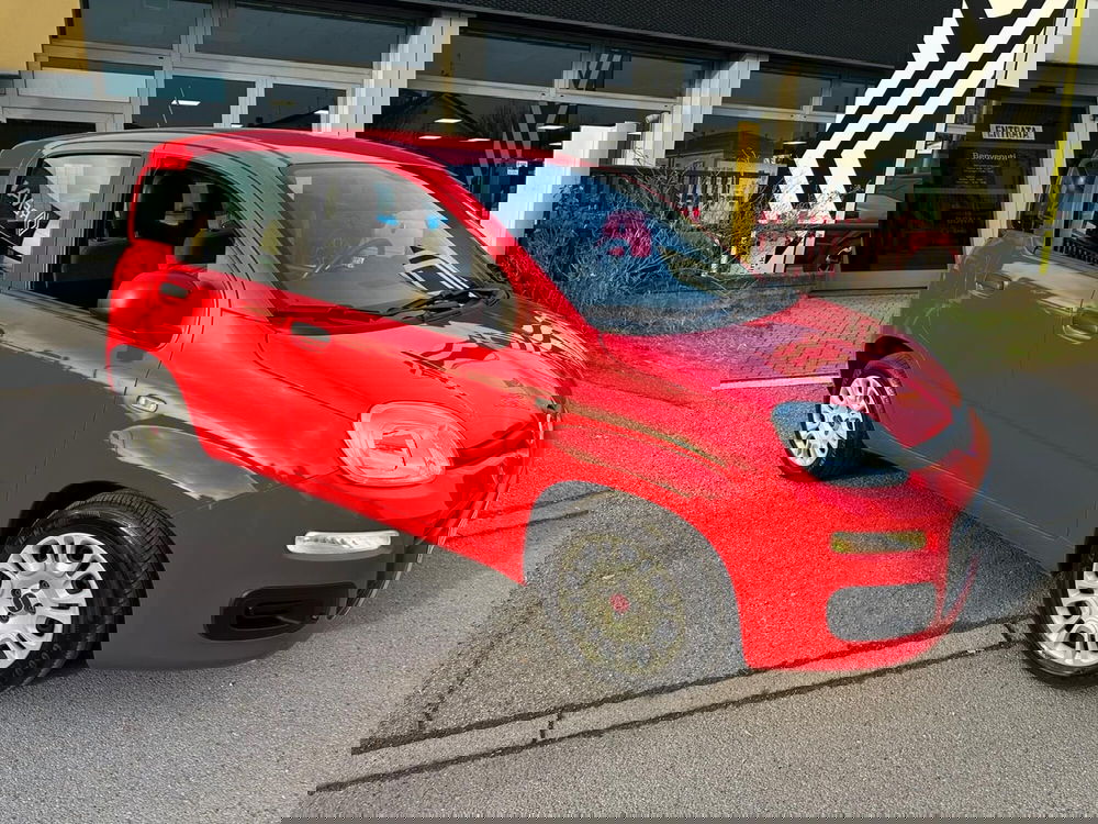 Fiat Panda Cross usata a Monza e Brianza (2)