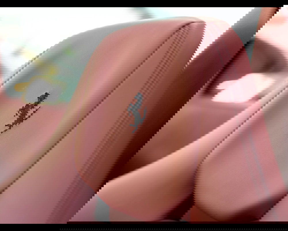 Ferrari 458 Coupé usata a Padova (16)