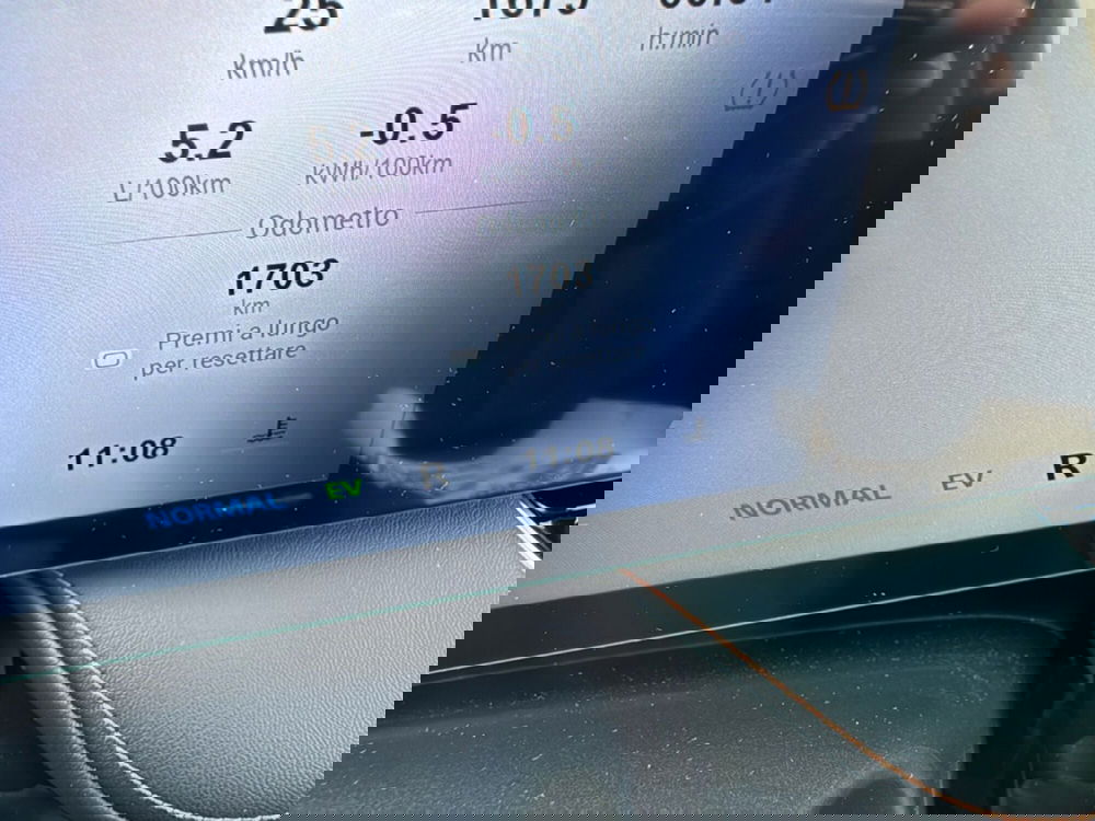 Mg HS usata a Ferrara (17)