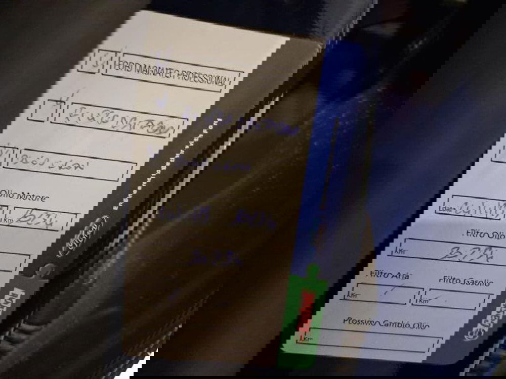 Ford Puma usata a Genova (19)