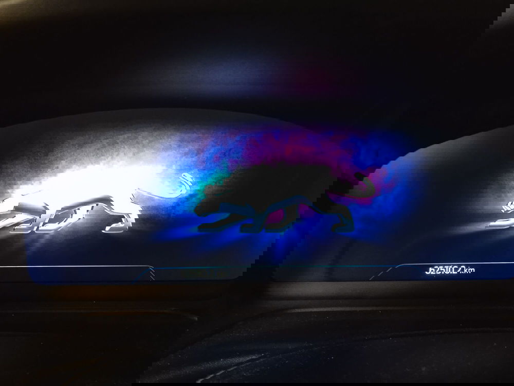 Ford Puma usata a Torino (12)