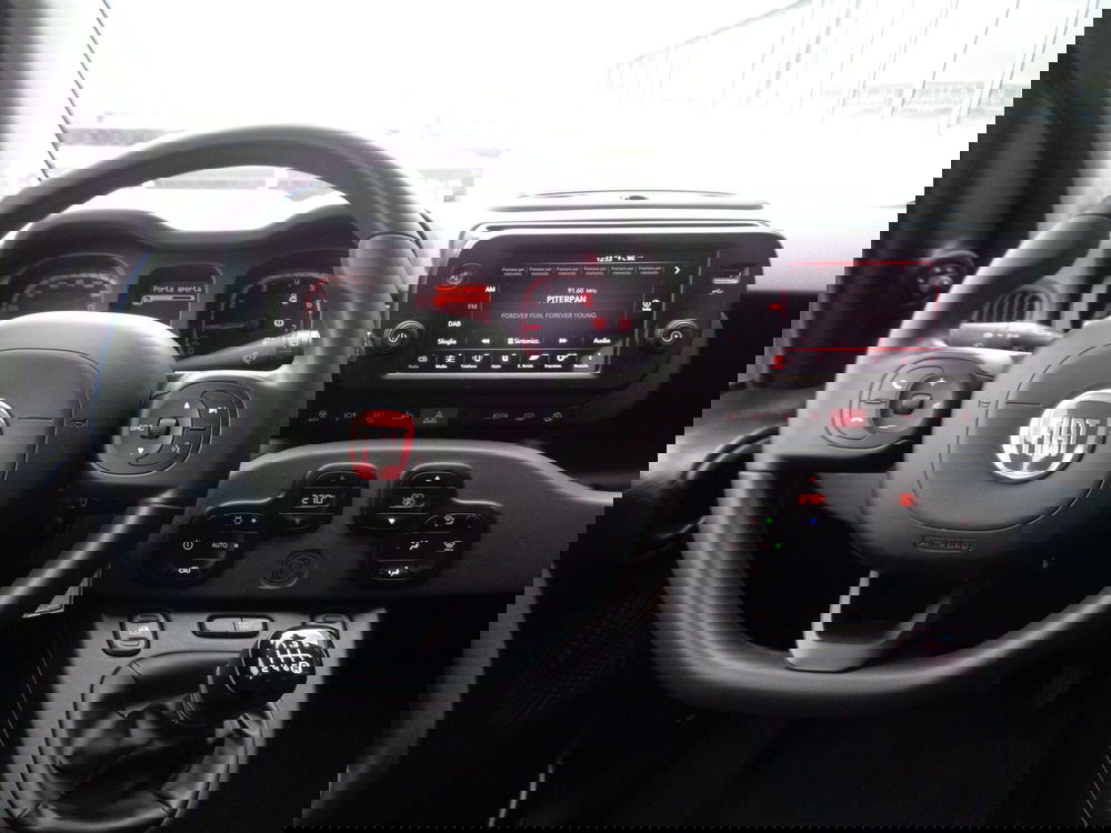 Fiat Panda Cross usata a Treviso (13)