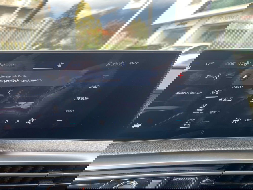 Peugeot 3008 usata a Frosinone (13)