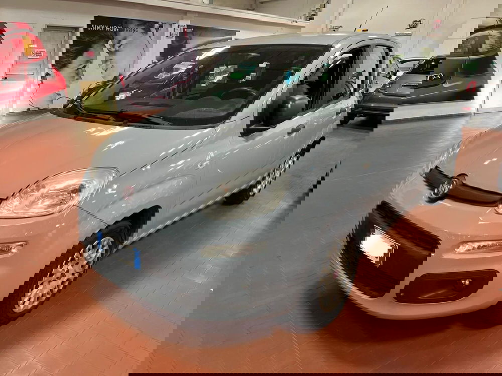 Fiat Panda usata a Lucca