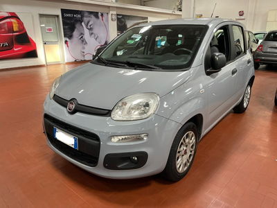 Fiat Panda 1.2 Easy del 2018 usata a Altopascio