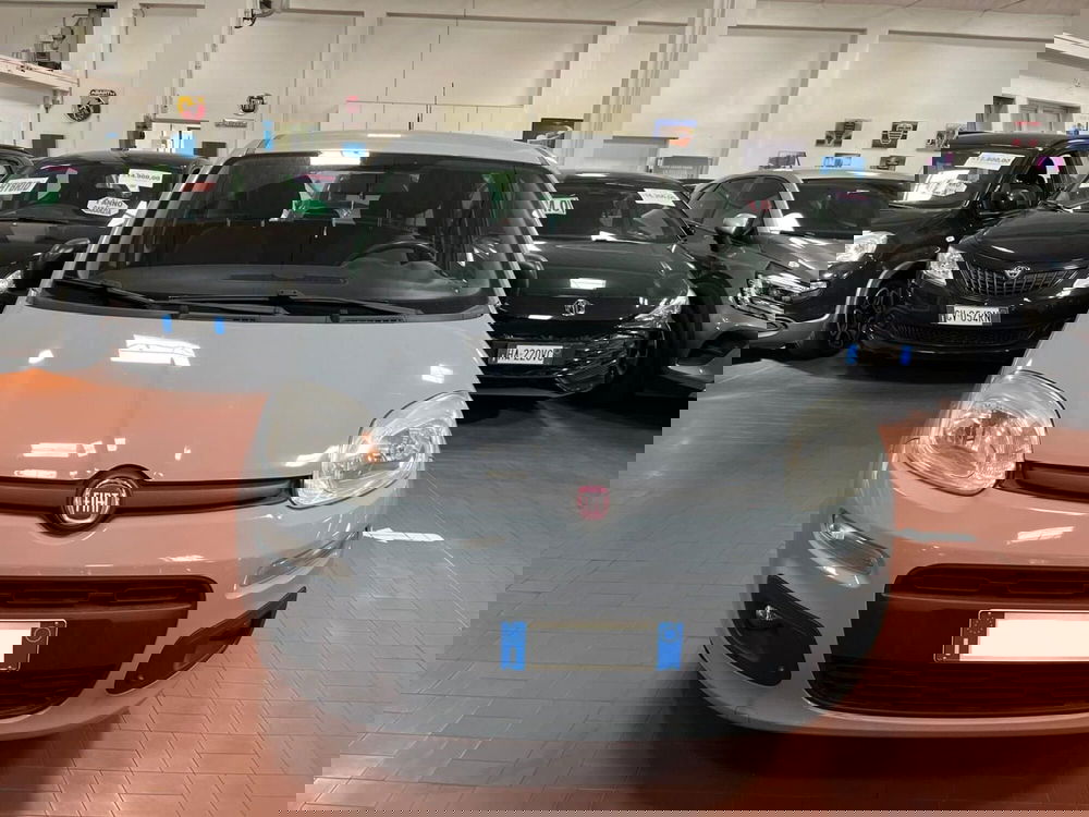 Fiat Panda usata a Lucca (2)