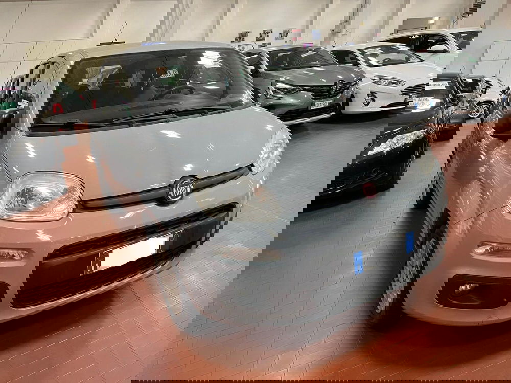 Fiat Panda usata a Lucca (3)