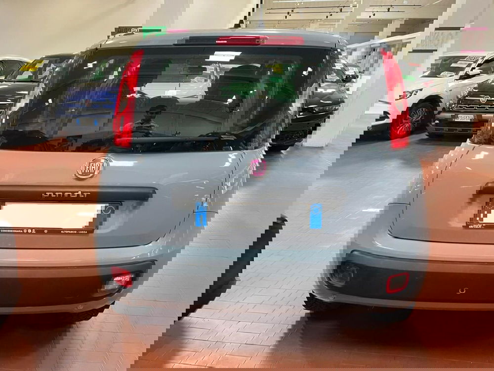 Fiat Panda usata a Lucca (6)