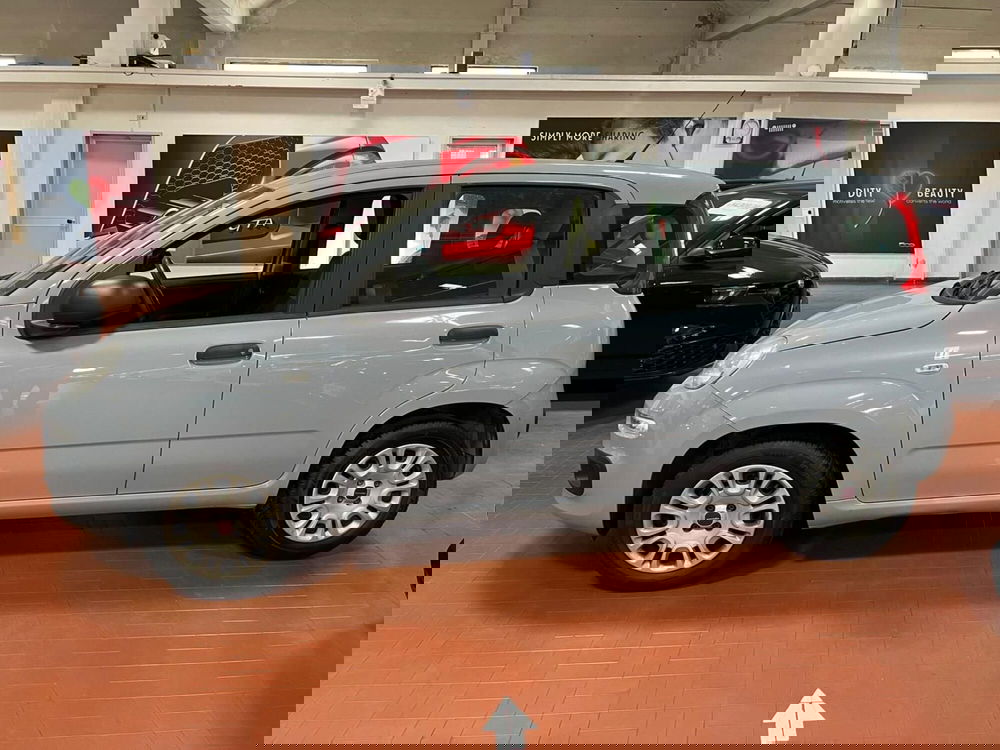 Fiat Panda usata a Lucca (8)