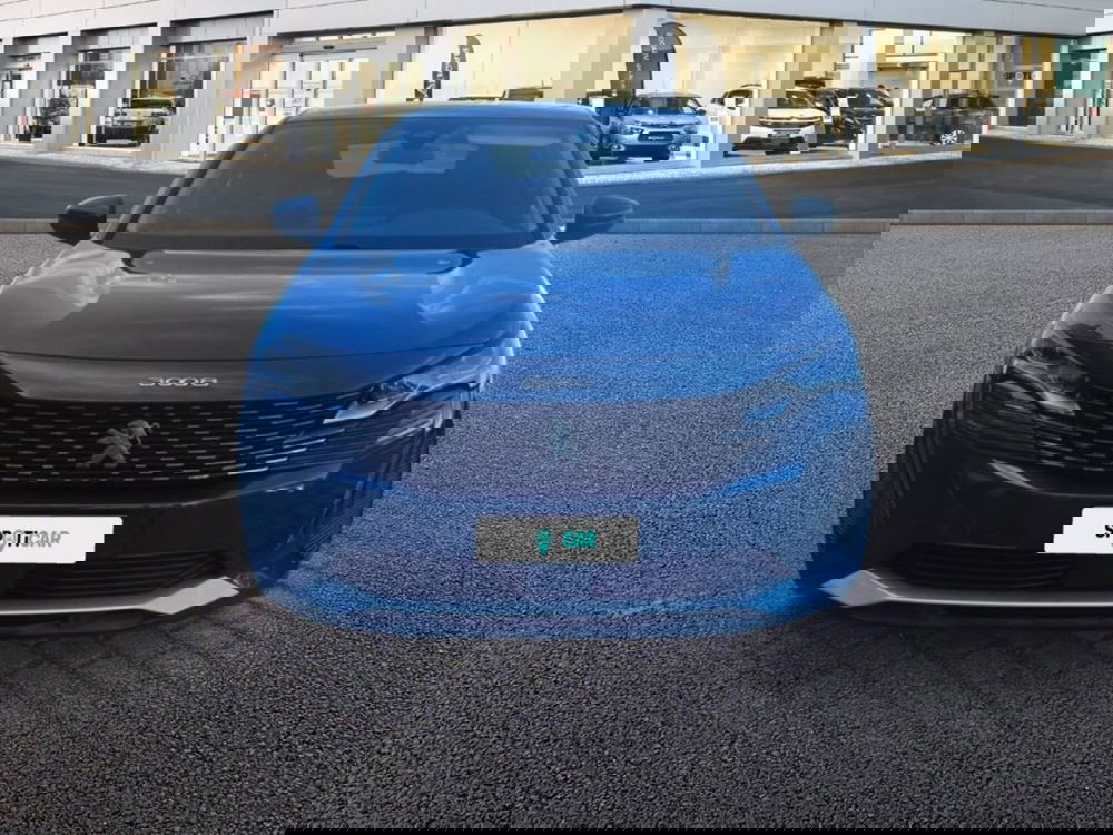 Peugeot 3008 usata a Foggia (2)